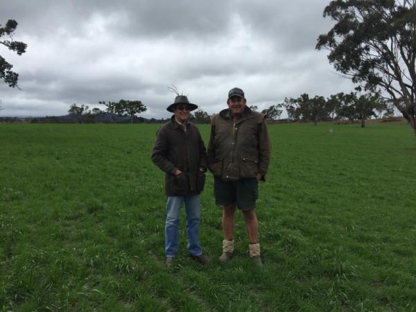Neil Harvey and farm manager Stefan Botha in their Savvy pasture